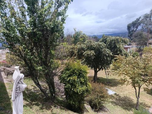 a statue of a woman standing next to a tree at Beautiful country house in Latacunga in Pujilí
