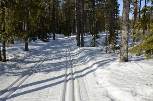 Το 14 - Fulufjellets nasjonalparker - snø - alpint - langrenn - snøscooter τον χειμώνα