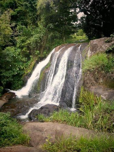 Landskap semula jadi dekat dengan lodge