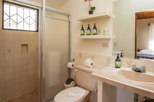 Un baño con inodoro, lavabo y ducha. en Casa Kilimanjaro Nature, Amazing Views and 6 Acres, en Manuel Antonio