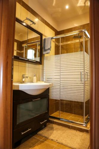 a bathroom with a sink and a glass shower at Village House in Petropiyí