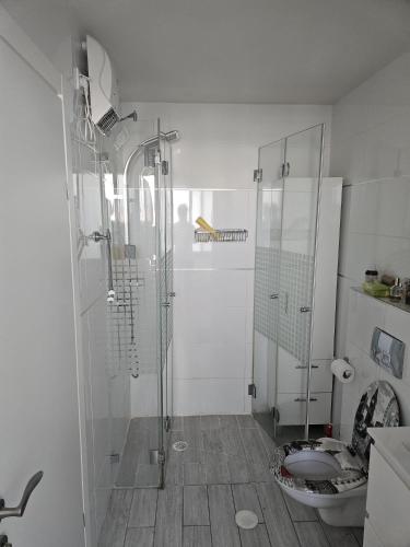 a bathroom with a shower and a toilet at Holon Guest House, Rooms, Not a Hotel in H̱olon