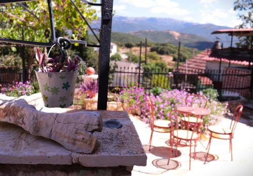 a patio with a table and chairs and a potted plant at Το Περάντι - Επιπλωμένη Οικία Guesthouse in Doliana