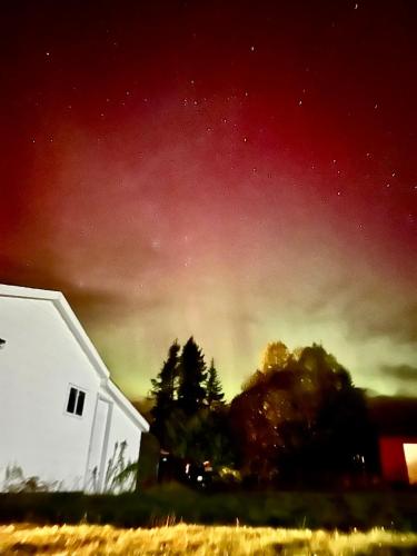 a starry sky with a white house and trees at Bonne Bay Cottages in Bonne Bay Pond
