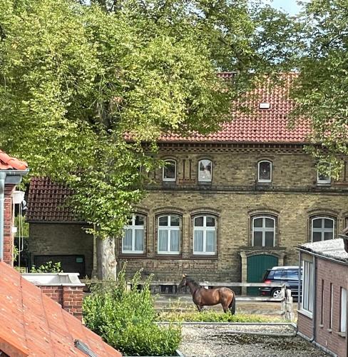 a horse standing in front of a brick building at Apartament an der Landgestüt in Warendorf