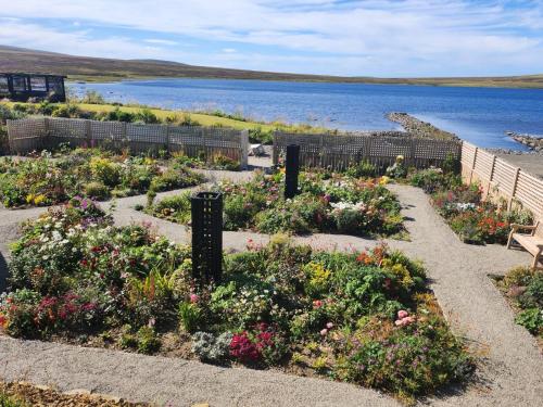 a garden with flowers and a bench next to a body of water at Lochview in Swannay