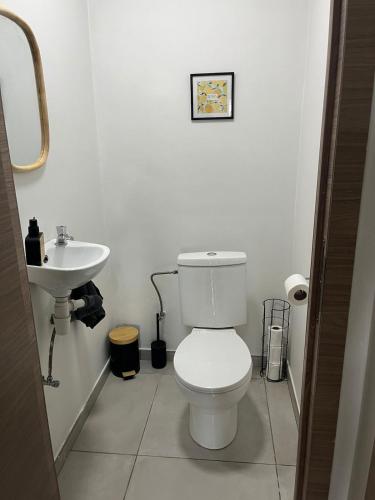 a white bathroom with a toilet and a sink at Ottignies Apartment in Louvain-la-Neuve