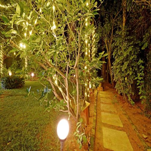 a garden with a tree with lights on it at Aurobay Resorts Pondicherry in Auroville