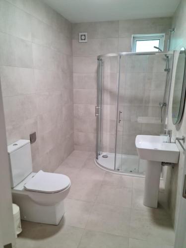a bathroom with a shower and a toilet and a sink at Modern 2 bedroom Apartment with River views in Behy Bridge