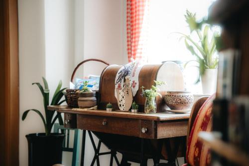 a table with potted plants on top of it at Schmiedbauerhof in Sankt Margarethen im Lavanttal