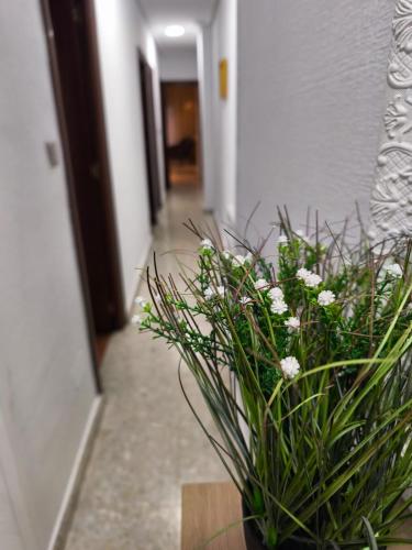 Alojamiento Comercio.