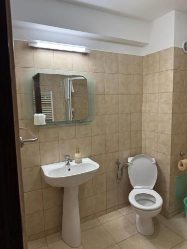a bathroom with a toilet and a sink at Casa Lacului in Malaia