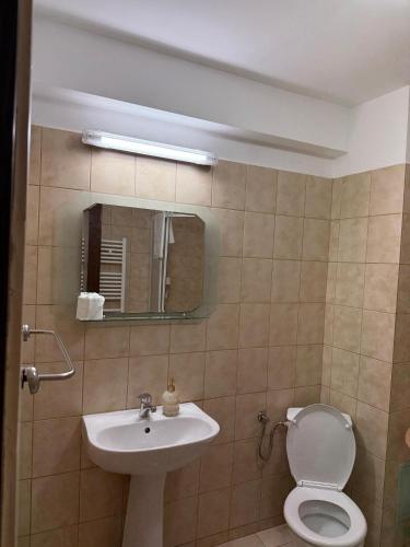 a bathroom with a sink and a toilet and a mirror at Casa Lacului in Malaia