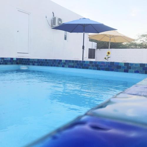 a swimming pool with two umbrellas on the side at Blue Ocean Apartment in Noord