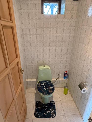 a bathroom with a green toilet and a window at Family cozy House in Berd in Berd