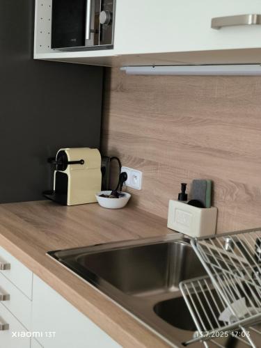 a kitchen counter with a sink and a microwave at Modern comfort in the heart of the city of Dvůr Králové nad Labem in Dvůr Králové nad Labem