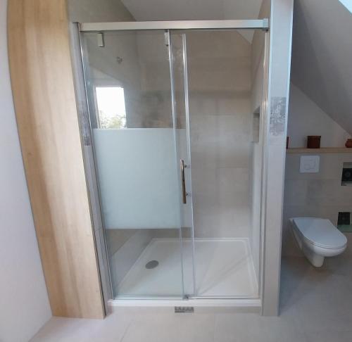 a shower stall in a bathroom with a toilet at L'Aintemporel - Gîte calme 4 personnes in Pont-du-Navoy