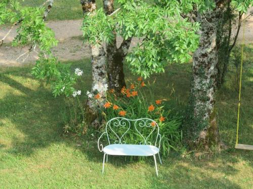 a bench sitting in the grass next to a tree at L'Aintemporel - Gîte calme 4 personnes in Pont-du-Navoy