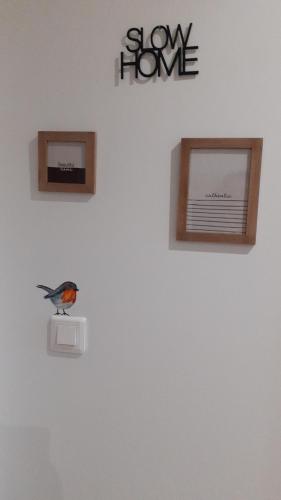 a bird sitting on a box on a wall at L'Aintemporel - Gîte calme 4 personnes in Pont-du-Navoy