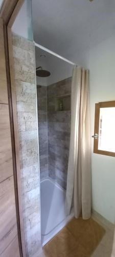 a shower with a glass door in a bathroom at Au P'tit Versailles in Châtillon-sur-Seine