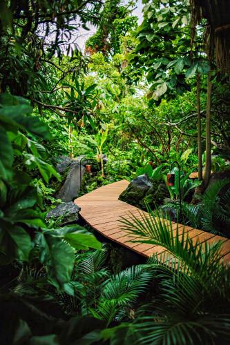 Isleta El Espino Ecolodgeにある庭