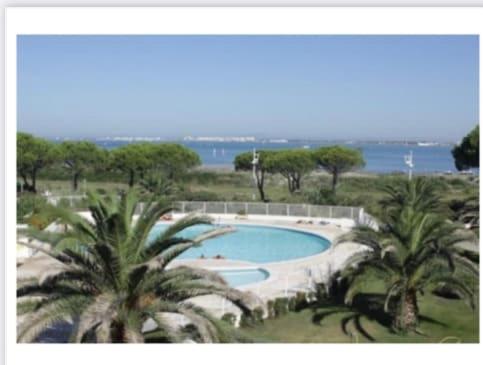 a large swimming pool with palm trees and the ocean at Appartement au bord de l'eau in Le Grau-du-Roi