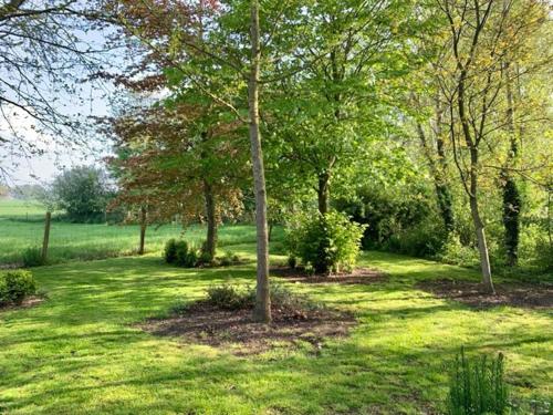 ein Grasfeld mit Bäumen in der Ferne in der Unterkunft Idyllic cottage with wellness facilities in Alveringem