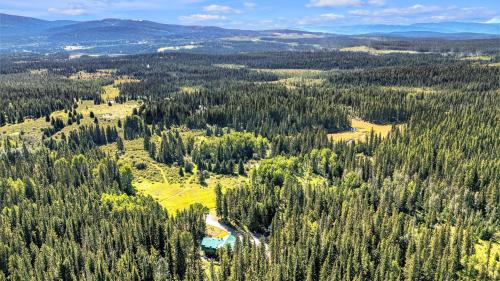 an aerial view of a forest filled with trees at HI Nordegg - Hostel in Nordegg