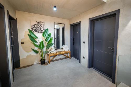 a hallway with a door and a potted plant at Villa Cocosinella Belgrade in Surčin