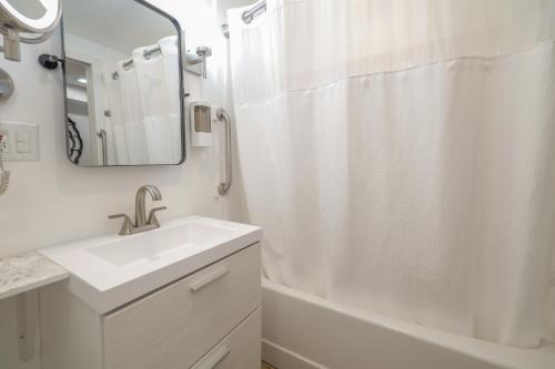 a bathroom with a sink and a shower curtain at Harmony Inn, Huntley Illinois in Huntley