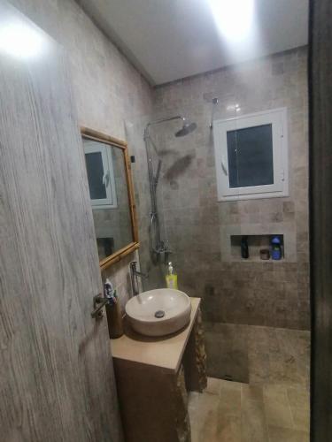 a bathroom with a sink and a shower at Petite villa- Tamezrat- Kelibia in Kelibia