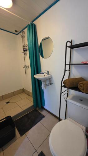 a bathroom with a toilet and a sink and a mirror at La Maison de l'Artiste in Hauru