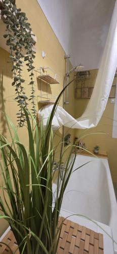 a bathroom with a plant and a bath tub at Beach Side Holiday in Omiš