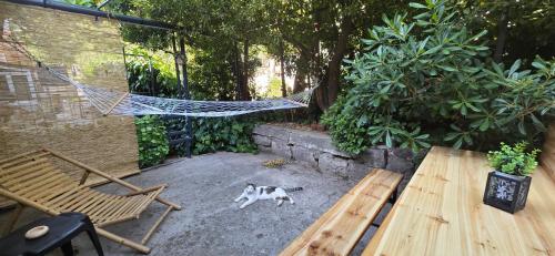 a dog laying on the ground next to a hammock at Beach Side Holiday in Omiš