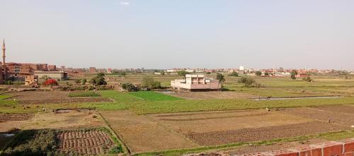 Gallery image of Egyptian country house 