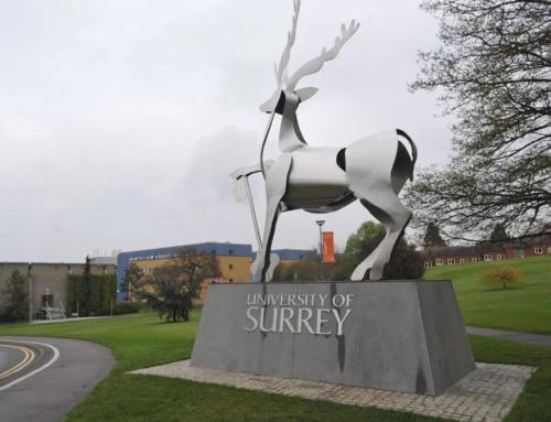 Gambar di galeri bagi Modern Apartment in the heart of Guildford di Stoughton