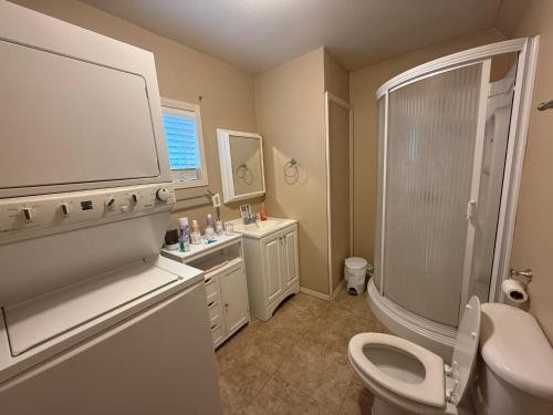 a bathroom with a toilet and a shower and a sink at Unique Southwest 2-bedroom home Permit #03015 in Alamosa