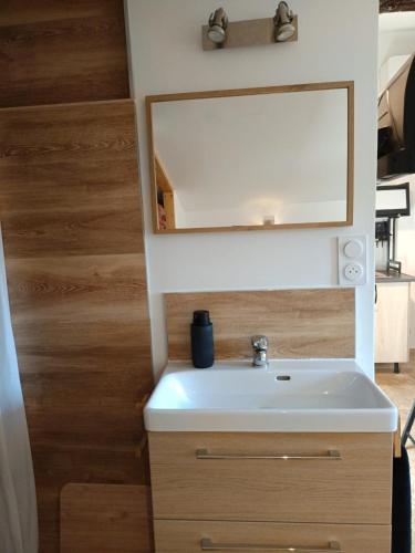 a bathroom with a sink and a mirror at Le Nid Douillet in Arles