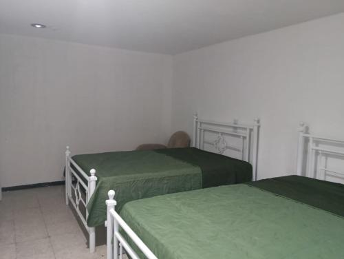 プエブラにあるDepartamento 4 Oteのベッド2台(緑のシーツ付)