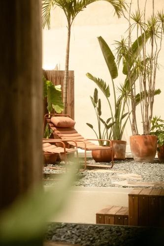 a patio with potted plants and a bench at Cholula Condesa Hotel by Lumina in Mexico City