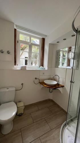a bathroom with a toilet and a sink and two windows at Hotel und Restaurant Zum Löwen in Gelnhausen