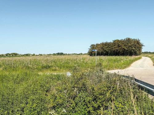 a dirt road through a field with grass and weeds at 6 person holiday home in Sydals-By Traum in Neder Lysabild