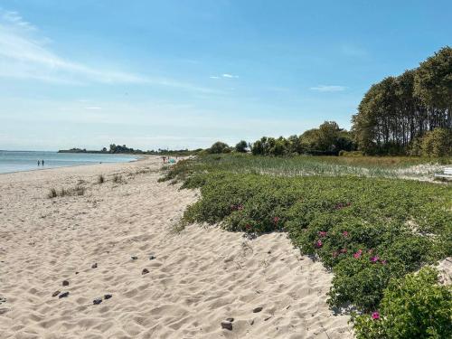 a beach with pink flowers in the sand at 6 person holiday home in Sydals-By Traum in Neder Lysabild