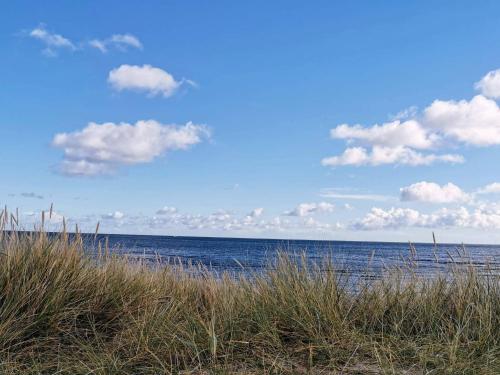 a view of the ocean from a beach with tall grass at 8 person holiday home in Hals-By Traum in Hals