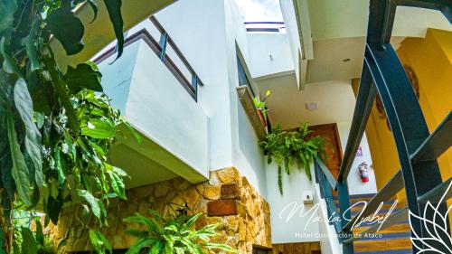 a hallway with plants on the walls of a building at Hotel María Isabel Ataco in Concepción de Ataco