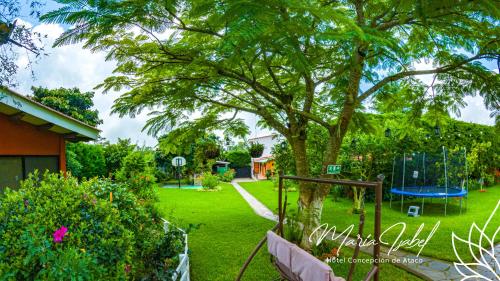 a yard with a tree and a swing at Hotel María Isabel Ataco in Concepción de Ataco