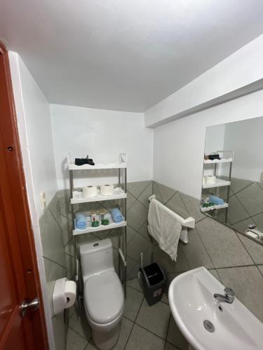 クスコにあるAndean charm Aparts & Roomsのトイレと洗面台付きのバスルーム