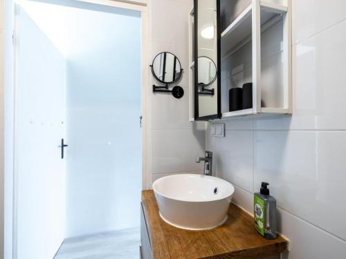a bathroom with a white sink and a mirror at Kolibrie in Dirkshorn