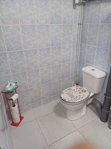 a bathroom with a toilet in a shower stall at "Frangipani" city center room in Papeete