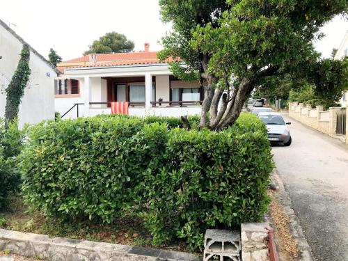 Apartments by the sea Petrcane - Zadar - 24879